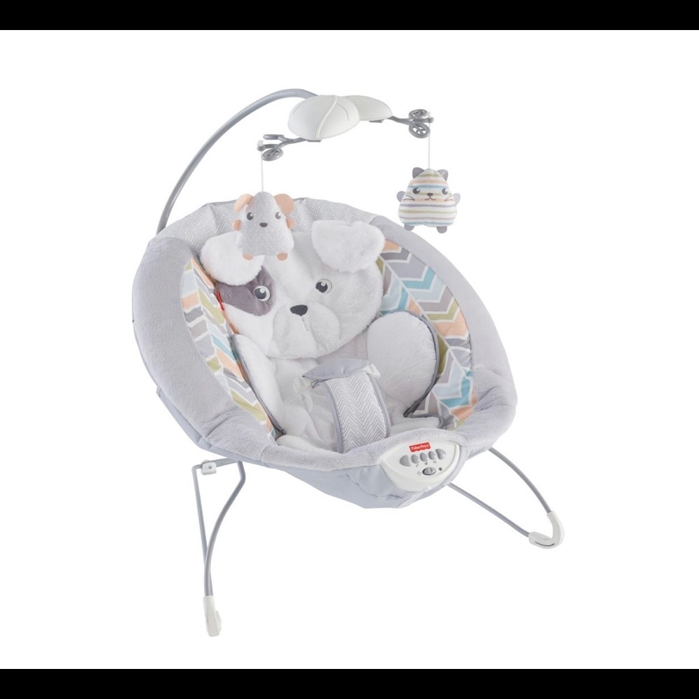 FISHER PRICE SNUGA PUPPY BOUNCER📌SOLD📌📌